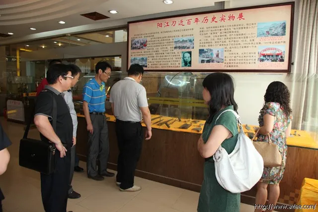 湖南电力集团总公司领导莅临阳江十八子集团有限公司考察参观